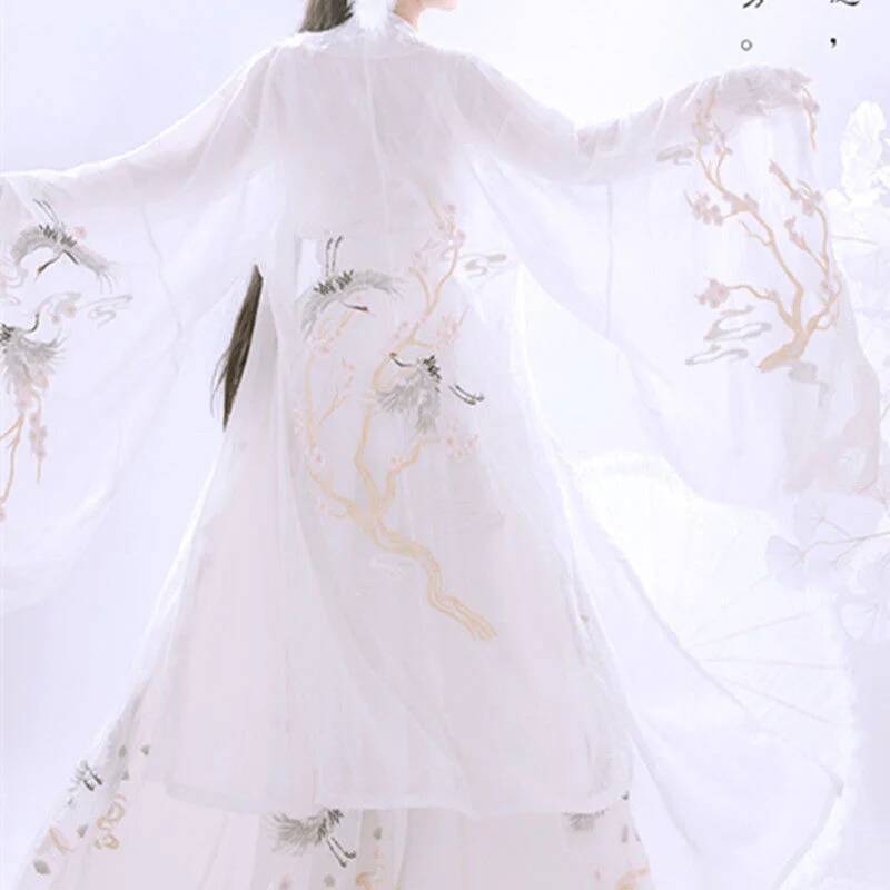 Çin Antik Hanfu kadın Ağır San - Embroidery Shirt incelemesi ve fiyatı